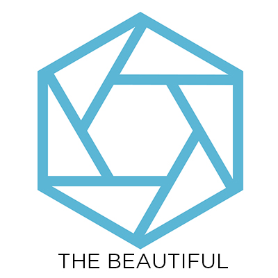 Civic Endowment—The Beautiful